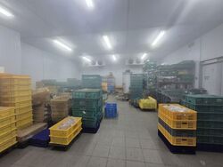 Ka Foodlink (D13), Factory #583297521
